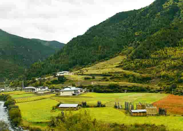 省委组织部纪检监察组(驻省委组织部纪检监察组)