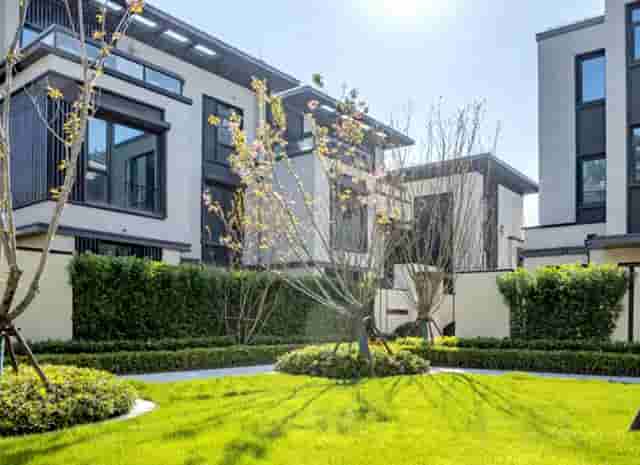 袖虎病猫攻略：预防猫跳楼，保住九条命