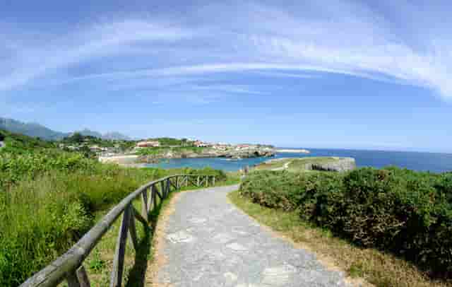 袖虎病狗攻略：犬心丝虫是什么？