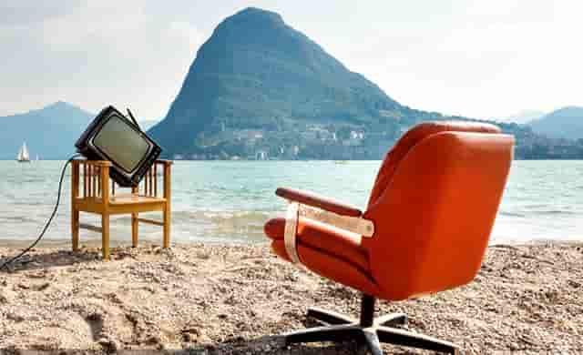 袖虎病猫攻略：给猫找一个合适的对象